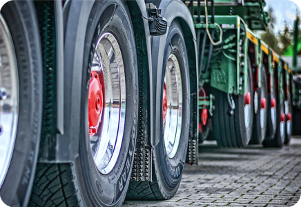 40f97a41-4aa1-4e4a-9db3-43203ec8e0b3-turkpet-3