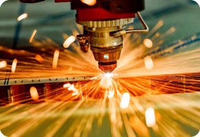 496f0ea0-4848-4b16-80d6-c4d8b971df9d-turkpet-11