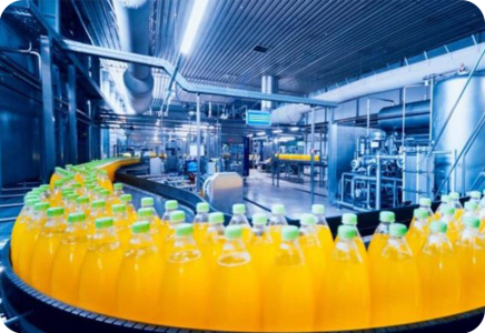 5bee8253-91cb-4d33-9ea7-08a9fda33cf7-turkpet-14