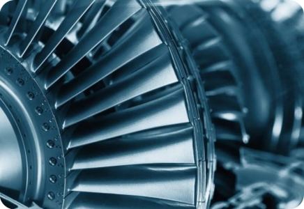 d09a36fa-d383-4ba4-a17d-b934eace0ae3-turkpet-4